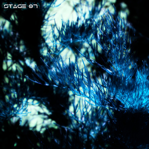 Stage 07 (Original Mix)