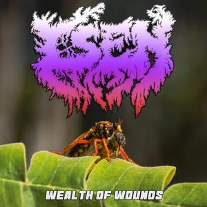 Wealth of Wounds