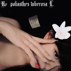 晚香玉+prod@mayauzz