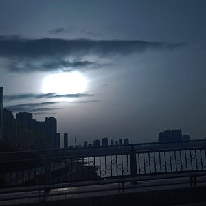白昼深琴