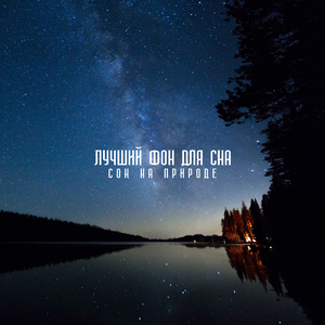 Нежные голоса