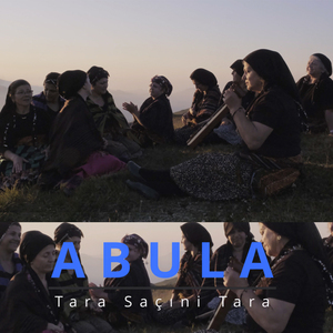 Tara Saçıni Tara