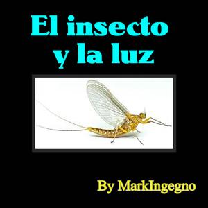 El insecto y la luz