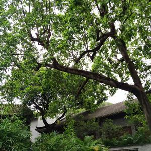 青春永远在路上