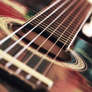 白凤凰之歌（翻自 刘罡）