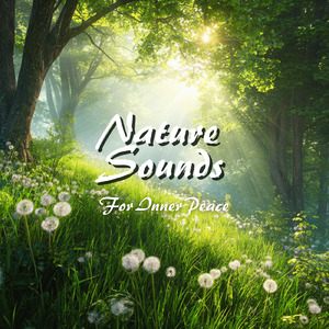 熟睡ギターBGM 睡眠の質を高めるヒーリング音楽 (自律神経を整える睡眠用 森 鳥)