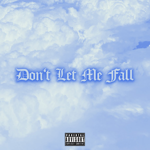 Don't Let Me Fall