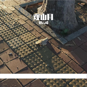 观山月