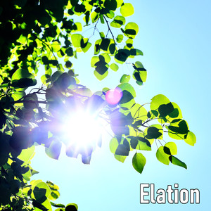 Elation