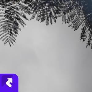 情深几许（Remix版）