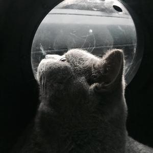 不是你的宝贝（翻自 yohoo）