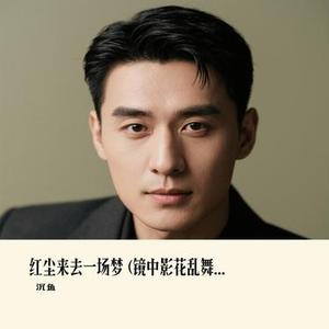 红尘来去一场梦  (镜中影花乱舞风) (Cover 大双二双)