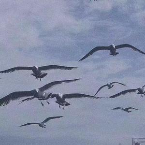 KissGoodbye（翻自 李荣浩）