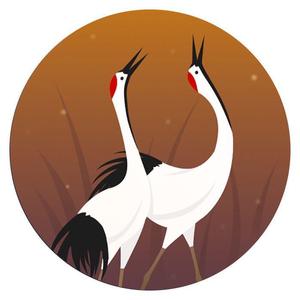 格桑拉（抖音热门BGM)