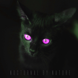 Nocturnal By Nature