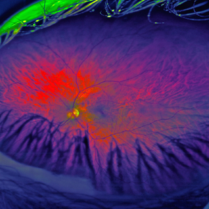 Western Front (War Hymn #2)