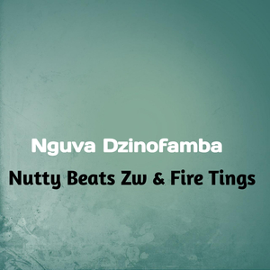 Nguva Dzinofamba (Live)