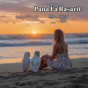Pana La Rasarit