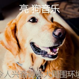 抚慰的幼犬回忆