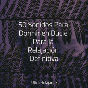 Escribiendo Al Atardecer