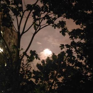 输入法打可爱请按第五