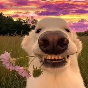 She Don't Like The Lights (sped up)