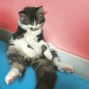 그래 (feat. FarLaw)