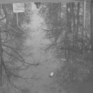 Локомотив (начало)