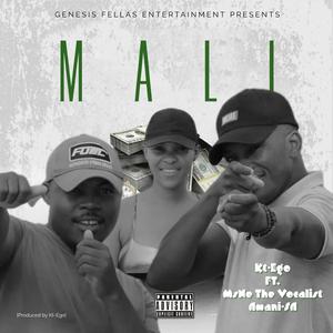 Mali (feat. MsNe The Vocalist & Amani-SA)