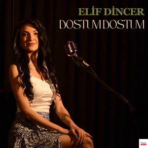 Dostum Dostum