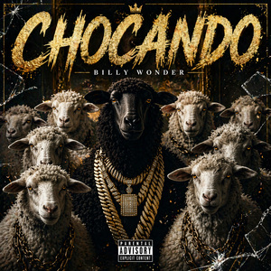 CHOCANDO