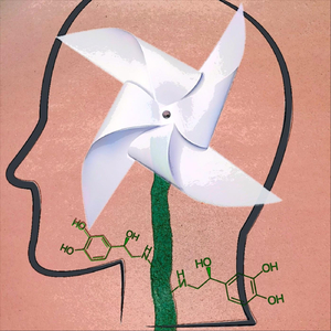 Bermuda Triangle (feat. Phredd)