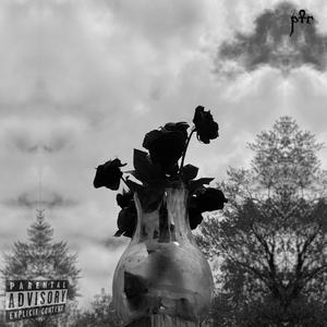 I Don't Think I Can Handle This Anymore (feat. kreger)