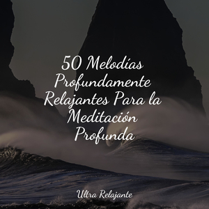 Mentes Unificadas