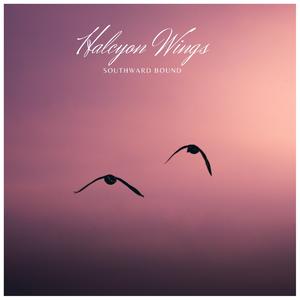 Southward Bound (432 Hz)