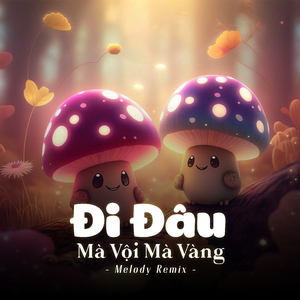 Đi Đâu Mà Vội Mà Vàng (Melody Remix)