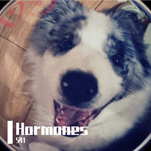 hormones at eve(激素作祟)