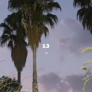 13