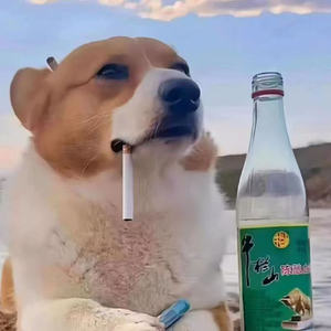 剩下的盛夏