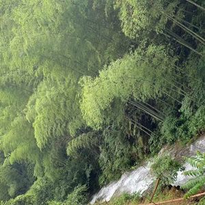 北极冰川的破碎幻音