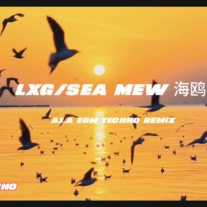 LXG-LXG-海鸥-Sea Mew (AJ.A EDM TECHNO  RMX).mp3（LXG remix）