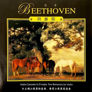 贝多芬D大调小提琴协奏曲 II.Larghetto