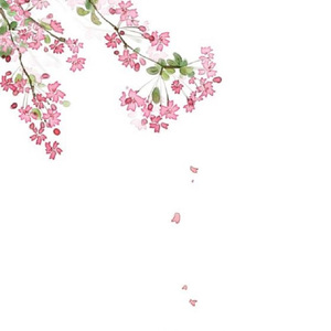 梦里花落知多少（demo）