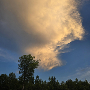 Tattoos and Love songs