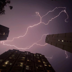 好马不吃回头草