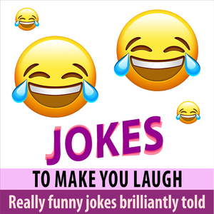 Joke About the 2 Dogs and the Cat in the Sky