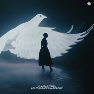 X-Files (Ruback & Mariz remix)