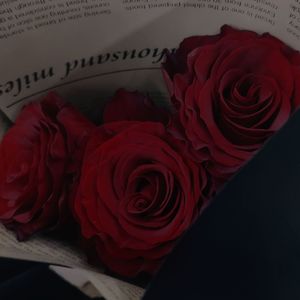 别辞-2025 (Our Destined Separation)
