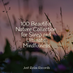 Ethereal Painted Harmony