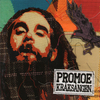 Promoe - Problem